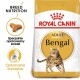 Bengal Adult 10 kg
