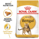 Torba z karmą dla kotów Royal Canin Adult Bengal z ilustracją kota bengalskiego, z tekstem podkreślającym odżywianie rasy i optymalne trawienie.