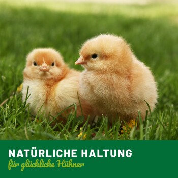 Zwei flauschige gelbe Küken sitzen auf grünem Gras, mit dem Text 'NATÜRLICHE HALTUNG für glückliche Hühner' am unteren Rand.