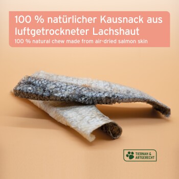 Luftgetrocknete Lachshaut-Leckerlis auf einem Pfirsichhintergrund mit Text in Deutsch und Englisch über ihre natürlichen Zutaten.