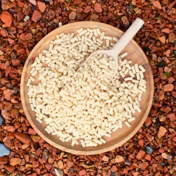 Ein Holzbrett gefüllt mit kleinen, hellen Haustierfutterpellets, begleitet von einem Holzlöffel, vor einem Hintergrund aus rötlichem Kies.