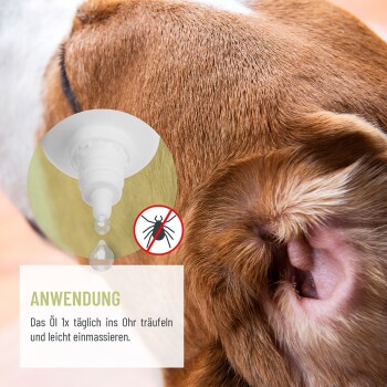 Nahaufnahme eines Hundesohres mit einer Pipette darüber, die Öl zeigt. Text: "Öl täglich im Ohr auftragen und einmassieren." Symbol für kein Zecken vorhanden.