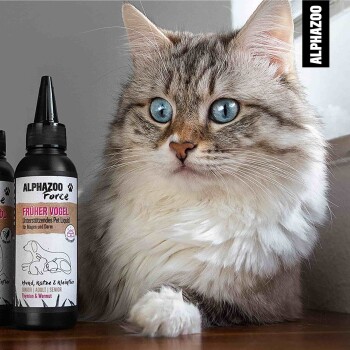 Eine flauschige Katze mit auffälligen blauen Augen sitzt neben zwei Flaschen ALPHAZOO Force Tierflüssigkeit, beschriftet mit "FRÜHER VOGEL" zur Unterstützung der Verdauung.