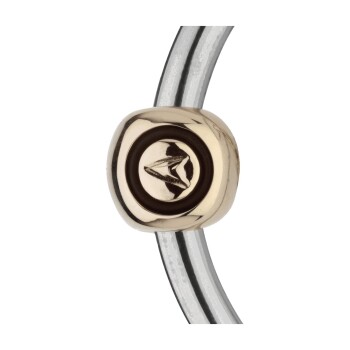 Nahaufnahme einer glänzenden goldenen und schwarzen Haustierhalsband-Schnalle mit einem stilisierten Vogel-Logo, die an einem silbernen Halsbandriemen befestigt ist.