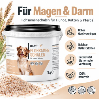 Ein Glasbehälter gefüllt mit hellbraunem Pulver, begleitet von einem kleinen weißen Messlöffel.
