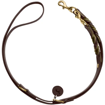 Braune Leder-Hundeleine mit einem geflochtenen grünen Akzent und einem goldenen Clip, mit einem kleinen Logoanhänger.