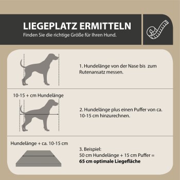 Illustration zur Messung der Länge eines Hundes für die Bettgröße: vom Nasenende bis zur Schwanzbasis messen, dann 10-15 cm für eine optimale Passform hinzufügen.