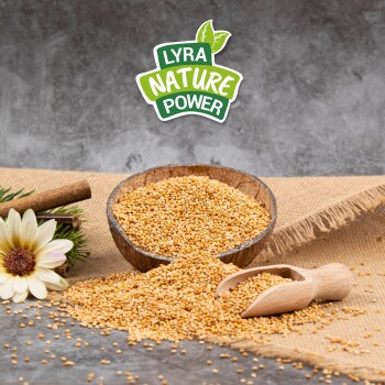 Ein kleiner brauner Vogel steht neben einem Holzvogelhaus, neben einem runden Teller mit Vogelfutter, umgeben von Kieseln und Grünpflanzen.