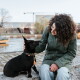 Lockige Frau in grüner Jacke streichelt einen kleinen schwarzen Hund, der ein Halsband mit orangefarbener Quaste trägt, auf einer steinernen Flussuferkante.