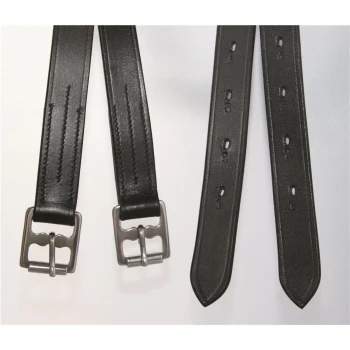 Zwei schwarze Lederhalsbänder für Hunde mit silbernen Schnallen, die verstellbare Löcher zur Größenanpassung zeigen.