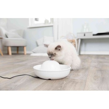 Eine flauschige weiße Katze mit grauen Markierungen trinkt aus einem modernen weißen Haustier-Wasserbrunnen auf einem Holzboden in einem hellen Raum.