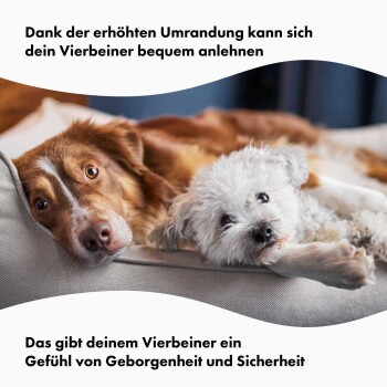Ein flauschiger weißer Hund entspannt sich auf einer weichen Couch, mit deutschem Text, der darauf hinweist, dass die erhöhten Ränder Komfort und Sicherheit für Haustiere bieten.