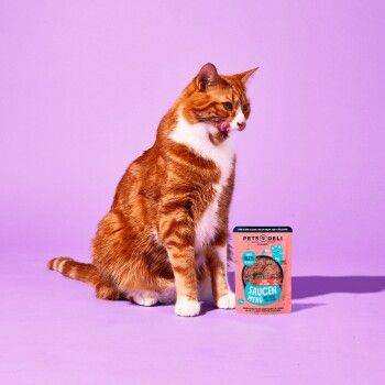 Nourriture humide pour chat Adult Saucen Menu Bœuf au potiron 12 x 70 g