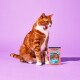 Nourriture humide pour chat Adult Saucen Menu Bœuf au potiron 12 x 70 g