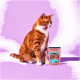 Orange-weiße Katze leckt sich die Lippen neben Pets Deli Classic Katzenfutterbeutel vor lila Hintergrund.