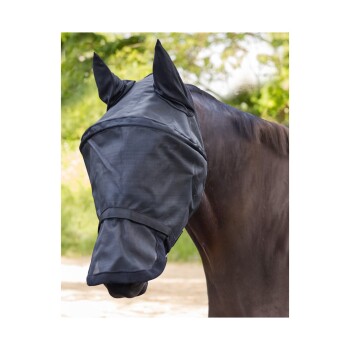 Eine Nahaufnahme eines Pferdes, das eine schwarze Fliegenmaske mit Ohrenschutz trägt, vor einem verschwommenen grünen Hintergrund.