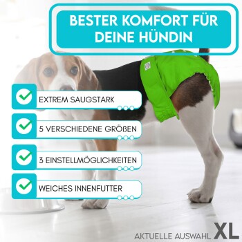 Beagle in einer grünen Windel, die folgende Merkmale zeigt: "Extrem saugstark," "5 Größen," "3 Einstellmöglichkeiten," "Weiches Innenfutter," "Bester Komfort."