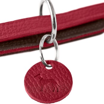 Nahaufnahme eines roten Lederhundehalsbands mit einem silbernen Metallring und einem runden Anhänger mit einer geprägten Hundesilhouette.