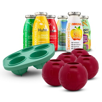 Rote Hundebälle zur Snackausgabe und grünes Silikonform mit vier Vertiefungen; Flaschen mit der Aufschrift „SMOOTHIEDOG“ und „IMMUNIO“.