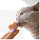 Nahaufnahme einer grauen Katze, die eine herzförmige Leckerei ableckt, die von einer Hand mit lavendelfarbenem Nagellack gehalten wird.