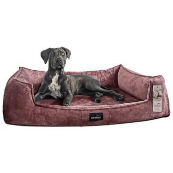 ® Orthopädisches Hundebett FRANKLIN Kuscheliger Teddy-Stoff - Hundesofa rosiges braun 1,6 m, 25 cm, 1,1 m