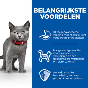Grijze kitten met een rode halsband naast tekst die belangrijke voordelen benadrukt: uitgebalanceerde voeding, hoogwaardige eiwitten en antioxidanten voor immuniteit.