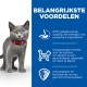 Grijze kitten met een rode halsband naast tekst die belangrijke voordelen benadrukt: uitgebalanceerde voeding, hoogwaardige eiwitten en antioxidanten voor immuniteit.