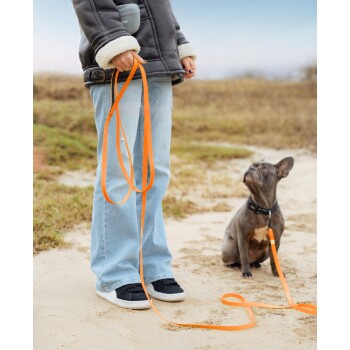 Person hält eine orangefarbene Leine, die an einem sitzenden Französischen Bulldoggen befestigt ist, auf einem sandigen Weg im Freien.