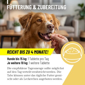 Ein verspielter Hund springt auf einer Wiese mit einem verschwommenen Wald im Hintergrund. Textüberlagerung: "MIT EXPERTEN ENTWICKELT" über die Expertenentwicklung in Deutschland.