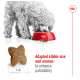 A fluffy gray dog eats from a red bowl of kibble, with a star-shaped piece shown for size. Text: "Adapted kibble for better palatability."
