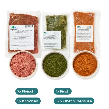 Rohe Tiernahrungssortiment mit 7 Packungen Fleisch, 1 Packung Fisch, 3 Knochen und 12 Portionen Obst und Gemüse.