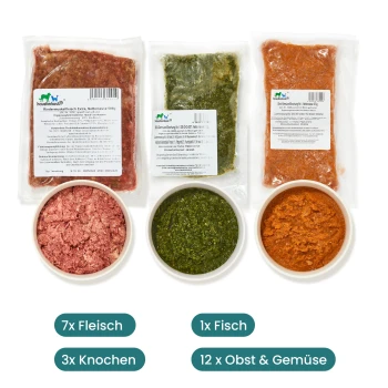 Rohe Tiernahrungssortiment mit 7 Packungen Fleisch, 1 Packung Fisch, 3 Knochen und 12 Portionen Obst und Gemüse.