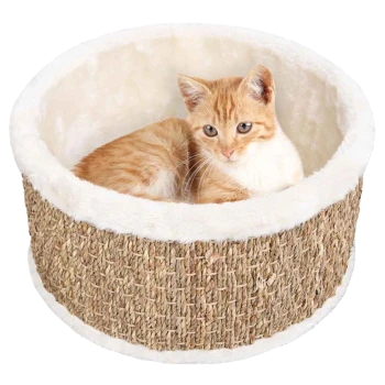 Ein flauschiges orange-weißes Kätzchen ruht in einem runden, geflochtenen Katzenbett mit einem weichen, weißen Innenraum und einem Außenmaterial aus Naturfasern.