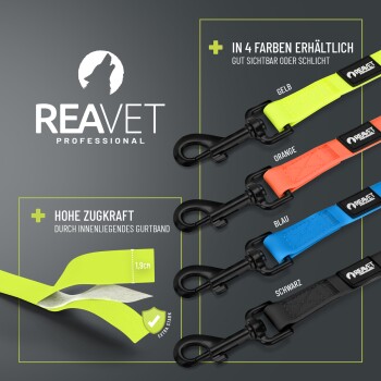 REAVET Professional Hundeleinen in 4 Farben (Gelb, Orange, Blau, Schwarz), schwarze Karabiner; sichtbarer Text: 'In 4 Farben erhältlich'