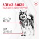 Science-backed ingredients for dogs, highlighting benefits of healthy ageing and joint comfort.
