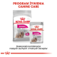 Opakowanie karmy dla psów Royal Canin Exigent z torbą oznaczoną 'MINI' i saszetką oznaczoną 'WSZYSTKIE ROZMIARY', z obrazkiem psa i tekstem w języku polskim.