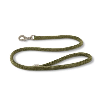 Olivgrüne geflochtene Hundeleine mit Metallverschluss und kleinem weißen Etikett auf weißem Hintergrund.