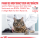 Eine getigerte Katze auf einem Tierarzt-Tisch wird von einem Tierarzt im weißen Kittel behandelt, mit Text über Royal Canin veterinärmedizinische Ernährung.