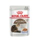 Royal Canin Ageing 12+ Katzenfutterbeutel, mit einer flauschigen Seniorenkatze, mit dem Text, der angibt, dass es für Katzen über 12 Jahre alt ist.