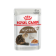 Royal Canin Ageing 12+ Katzenfutterbeutel, mit einer flauschigen Seniorenkatze, mit dem Text, der angibt, dass es für Katzen über 12 Jahre alt ist.