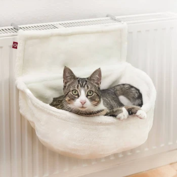 Eine gemütliche weiße Katzenbett, die an einem Heizkörper befestigt ist, mit einer entspannten Katze, die darin liegt.