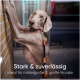 Großer grauer Hund mit Lederhalsband und Leine vor einer Backsteinwand, Text "Stark & zuverlässig Ideal für mittelgroße & große Hunde".