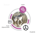 Ein Collie, der am Strand läuft, umgeben von Symbolen und Text, die Zutaten hervorheben: Lecithin, Fructo-Oligosaccharide (FOS) und Clinoptilolith.