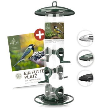 Vogelfutterspender mit einem klaren Rohr und grünen Akzenten, beschriftet mit "Futtersäule für Gartenvögel" und einem Heft mit dem Titel "Ein Futter Platz."