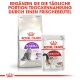Royal Canin Katzenfutterverpackung zeigt "Sensible" Trockenfutter und "Instinctive" Nassfutter, mit einem roten Banner, das ihre Kombination bewirbt.