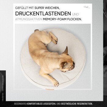 Ein französischer Bulldogge liegt zusammengerollt auf einem runden, weichen Hundebett. Der Text hebt die Füllung des Bettes aus weichem, druckentlastendem, atmungsaktivem Memory-Schaum hervor.