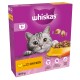 Whiskas cat food packaging featuring a gray cat with large eyes, highlighting "With delicious CHICKEN," 800g, 100% complete & balanced.