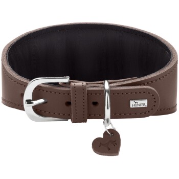Braunes Lederhalsband für Hunde mit silberner Schnalle und D-Ring, herzförmigem Anhänger, schwarzer Polsterung und Metallplakette mit der Aufschrift 'HUNTER'.