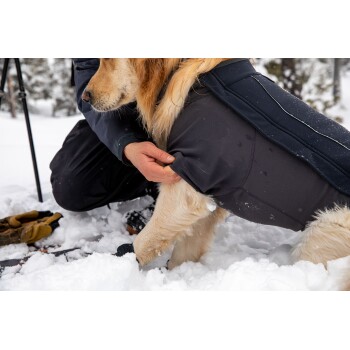 Ein Golden Retriever, der einen schwarzen Wintermantel trägt, wird von einer Person im Schnee angepasst, mit schneebedecktem Boden und Bäumen im Hintergrund.