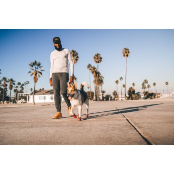 Eine Person in Sportkleidung führt einen glücklichen Hund mit roten Stiefeln auf einem sonnigen, palmengesäumten Weg.